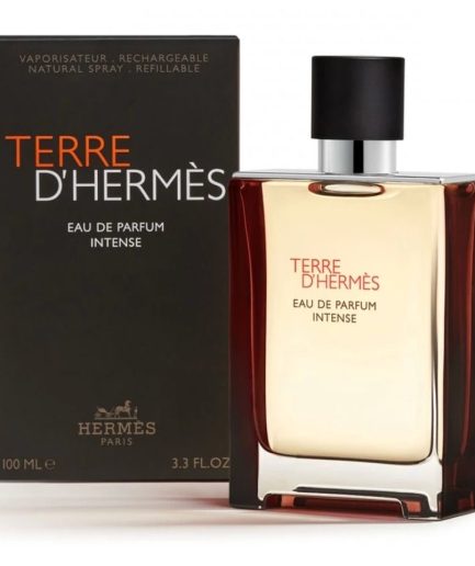 TERRE D HEMES EDT 100ml